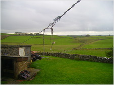 Thumbnail of photo from this article